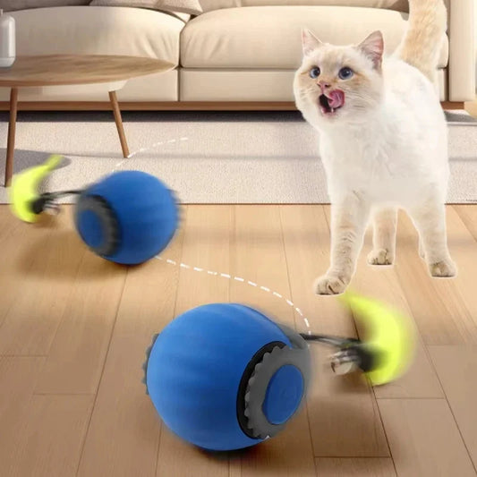 Pallina interattiva per gatti